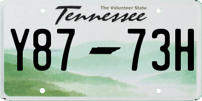 TN license plate Y8773H