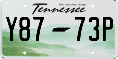 TN license plate Y8773P