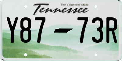TN license plate Y8773R