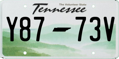 TN license plate Y8773V