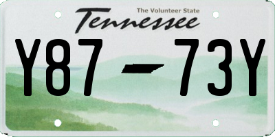 TN license plate Y8773Y