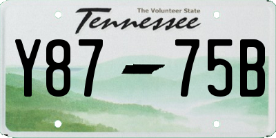TN license plate Y8775B