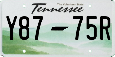 TN license plate Y8775R