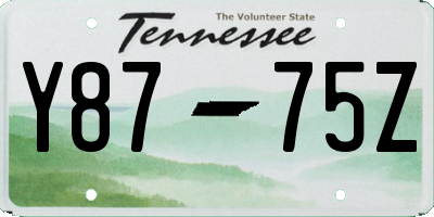 TN license plate Y8775Z