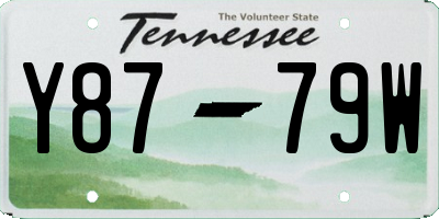 TN license plate Y8779W