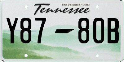 TN license plate Y8780B