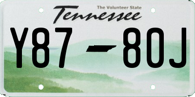 TN license plate Y8780J