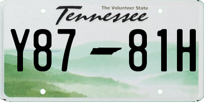 TN license plate Y8781H