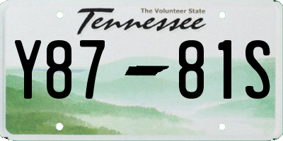 TN license plate Y8781S