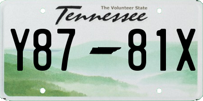 TN license plate Y8781X