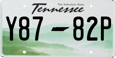 TN license plate Y8782P