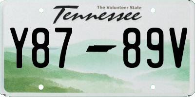 TN license plate Y8789V