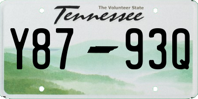 TN license plate Y8793Q