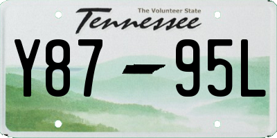 TN license plate Y8795L