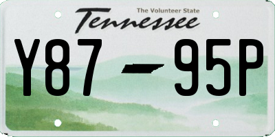 TN license plate Y8795P