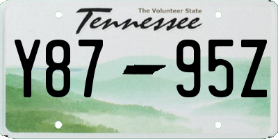 TN license plate Y8795Z