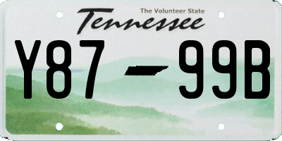 TN license plate Y8799B