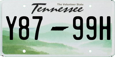 TN license plate Y8799H