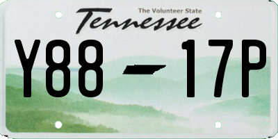 TN license plate Y8817P
