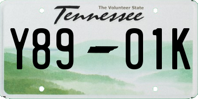 TN license plate Y8901K