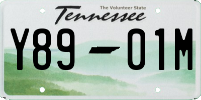 TN license plate Y8901M