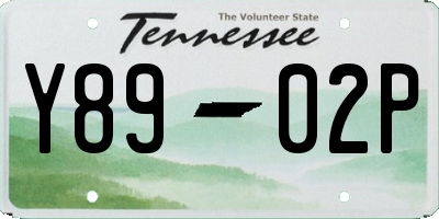 TN license plate Y8902P
