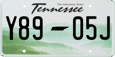 TN license plate Y8905J