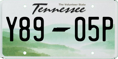 TN license plate Y8905P