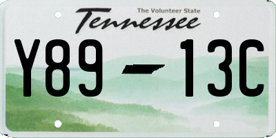 TN license plate Y8913C