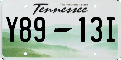 TN license plate Y8913I