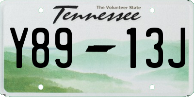 TN license plate Y8913J