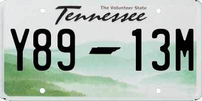 TN license plate Y8913M