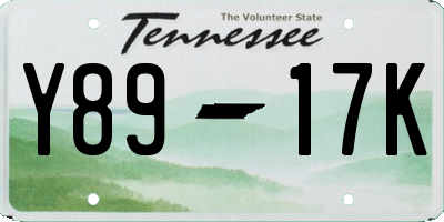 TN license plate Y8917K