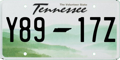 TN license plate Y8917Z