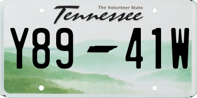 TN license plate Y8941W