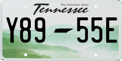 TN license plate Y8955E