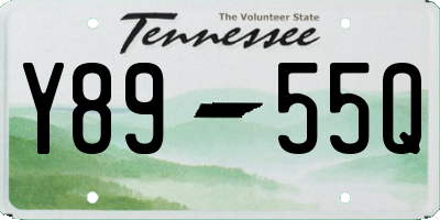 TN license plate Y8955Q