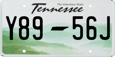 TN license plate Y8956J