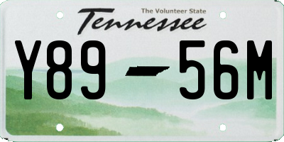 TN license plate Y8956M