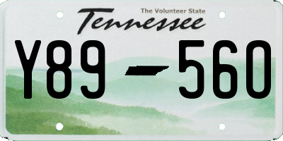 TN license plate Y8956O