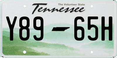TN license plate Y8965H