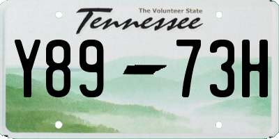 TN license plate Y8973H