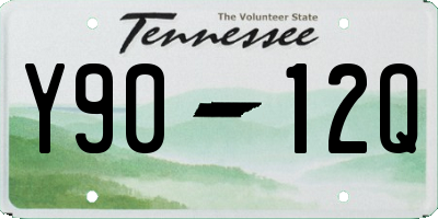 TN license plate Y9012Q