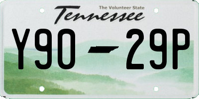 TN license plate Y9029P
