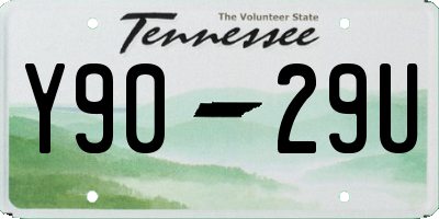 TN license plate Y9029U