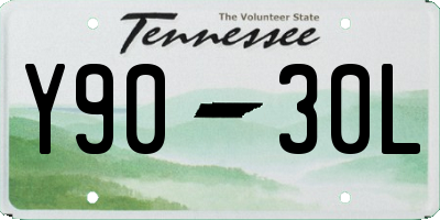 TN license plate Y9030L