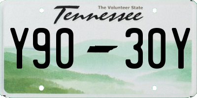 TN license plate Y9030Y