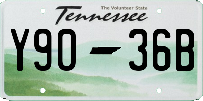 TN license plate Y9036B