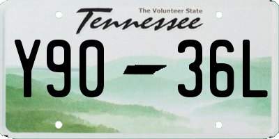 TN license plate Y9036L