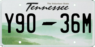 TN license plate Y9036M